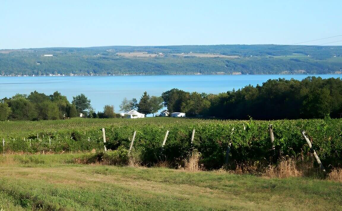 Shaped like the fingers on a hand, these lakes (11 in total) were carved out by glaciers